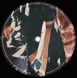 Nic Fanciulli - Focus