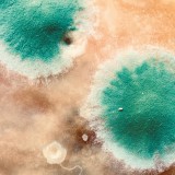 Shackleton & Zimpel - Primal Forms