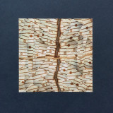 Sage Alyte - Paume De Pierre