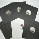 Rarefied Label Pack - 6x12" RAREPACK1