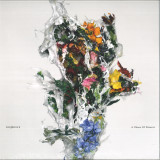 BIG|BRAVE - A CHAOS OF FLOWERS LP