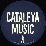 Vick Lavender - Chicago Blue Line