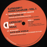 Terry Dexter / Ed Ramsey / Shawn Christopher / Lee Wilson - Category 1 Music Sampler - Vol. 1