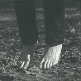 Tadeo - A Container Of Contradictions