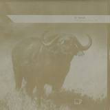 St. Joseph - Everything Is Okay Ep (vinyl Only)