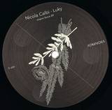 Nicola Calbi, Luky - Miami Force 89