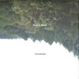 Roots In Heaven - Petites Madeleines