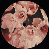 Physical Therapy - Buttercup