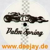 Palm Spring - The Race