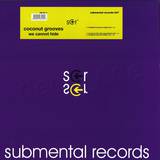 Coconut Grooves - We Cannot Hide