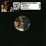 Andrea Mattioli & Gabriel C - Come To Me