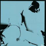 Camel Toe - Moon Track