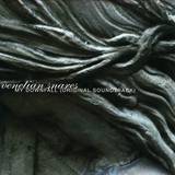 Venetian Snares - My Downfall