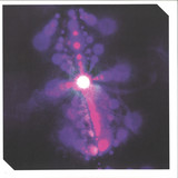 Various - Dancefloor Detonators Vol.1