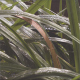 Dam Swindle - The life behind things EP