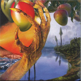 Timelash - A Morphology Of Wonders LP 2x12"