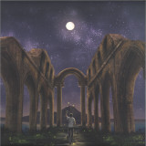 Collateral Intelligence - Butterflies In Funerals