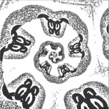 Otherworld - Mad Wee Light LP