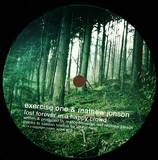 Exercise One & Mathew Jonson - Lost Forever In A Happy Crowd