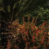 Alt-j - Something Good
