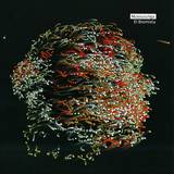 Mussurunga, Ritornell - El Bromista