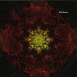 Luciano - Cachai, Dancy Unity