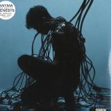 ANYMA - The End Of Genesys 2x12 LP