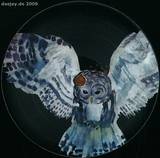 Klader & Vapen Feat. Anna Ternhei - What Have I Done