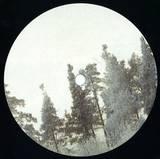 Giuseppe Cennamo, Yanee, Alessio Viggiano, Dub Capsule - Various Artists 01