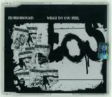 Ekoesofsound - What Do You Feel *mcd*