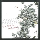 The Broken Orchestra - Over & Over// Shibui