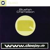 Bluefish - Chameleon