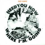 Cut Copy - Need You Now
