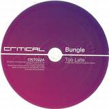 Bungle - Too Late/human Poison