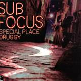 Sub Focus - Special Place