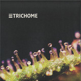 Manuk - Voltage Controlled Dreams Ep