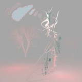 Haco, Takako Minekawa, Dustin Wong & Tarnovski - Kannazuki