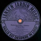 Mushrooms Project - Galattica