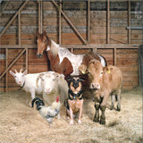 SPECIAL REQUEST - SR & Fwends (Inc. Mall Grab / Sully Remixes)