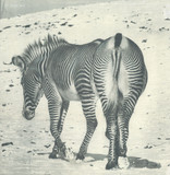 Andy Stott - It Should Be Us