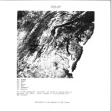 Sponge Bath - Tributary