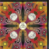 COMMON SAINTS - IDOL EYES