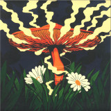 Adam Pits - A Recurring Nature LP 2x12"