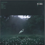 Forgiveness - Next Time Could Be Your Last Time LP