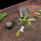 Christina Vantzou - The Reintegration of the Ear