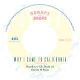 Nautilus - Why I Came to California / What You Won't Do For L 7"