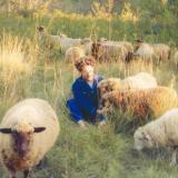 Resavoir - Themes For Dreams LP