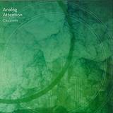 Analog Attention - City Limits