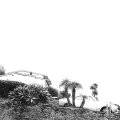 Timber Timbre - Hot Dreams (limited Edition)