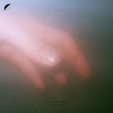 Sean Pineiro - Saved Once Twice 2x12"